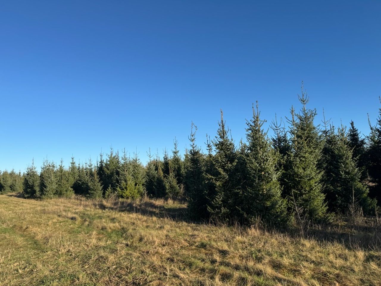 Ejendomsbillede 2 af 4